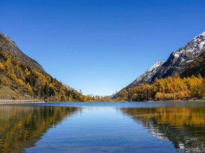 Detailed view of a peaceful training environment.
